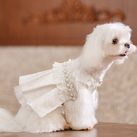 En stock, vente en gros, vêtements respirants pour chats et chiens, robe élégante pour animaux de compagnie, vêtements de luxe pour animaux de compagnie, créateur de vêtements pour animaux de compagnie pour mariage, fête, anniversaire