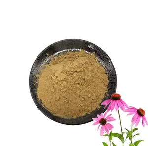 Extrato de polifenóis de equinácea Purpurea 4% Extrato de planta melhor preço com amostra grátis
