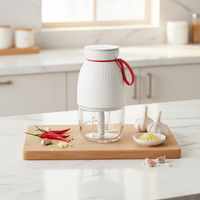 Robot culinaire électrique multifonctionnel en verre pour usage domestique, capacité 0,3 L, 4 lames, hachoir et moulin à viande