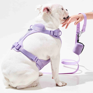 Ensemble de laisse, collier et porte-sac à déjections canines en PVC, personnalisable avec logo, de luxe, anti-traction et imperméable, pour l'entraînement des chiens - Product Image 1