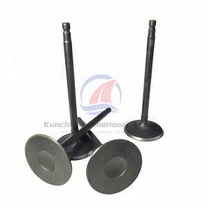 Hete Verkopende Hoge Kwaliteit Nissan Vq25 Inlaat & Uitlaat Kleppen 13202-aq800/13201-eg200/13201eg200 Vq25de Met Klepstoters - Product Image 4