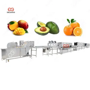Gelgoog Linha de classificação e lavagem de frutas, máquina de limpeza de mangas, linha de processamento de limpeza e depilação de frutas