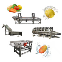 Aloë Vera Sla Druif Cactusvijg Ananas Bosbessen Draak Fruit Wasmachine Voor Snacks Schoon Avocado