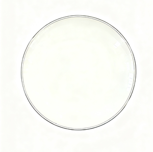 Customized Eco-Friendly White Bone China Dinner Plate Silver/Gold Rim Edge Hotel/Restaurant Home Use OEM/ODM Available Food - Product Image 1