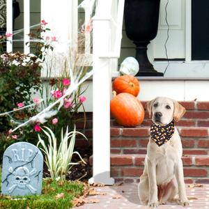 Nouvel Arrivage Personnalisable OEM : Bavette Triangulaire Festive d'Halloween pour Chiens <span class=keywords><strong>et</strong></span> Chats – Accessoires <span class=keywords><strong>et</strong></span> Fournitures pour Animaux de Compagnie - Product Image 6