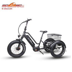 Vélo électrique à trois roues avec moteur central Bafang 750w, conforme à la norme <span class=keywords><strong>EN</strong></span> <span class=keywords><strong>15194</strong></span> - Product Image 2
