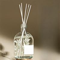 Bouteille d'arôme en verre élégante, anti-fuite, diffuseur décoratif pour huiles essentielles DIY