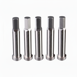 Accessoires de moulage pour quincaillerie, directement du fabricant : Aiguille à poinçonner pentagonale en acier rapide, tige de poinçonnage irrégulière - Product Image 1