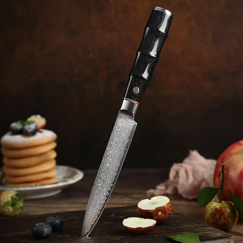 XITUO 67 Layer Damascus Steel Utility Knife Professional Kitchen Knife Cut Fruit Meat Fish Kitchen Accessories Color Wood Handle