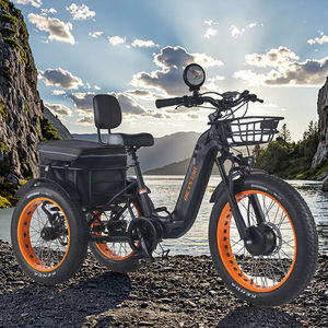 <span class=keywords><strong>Prix</strong></span> Spécial 2026 Tricycle Électrique Pliant en Acier 48V 500W Puissant avec Panier Arrière, Carrosserie Ouverte, Passager, 24 Pouces, Certifié DOT EEC - Product Image 5