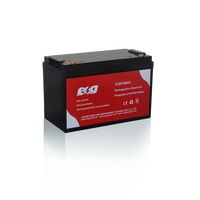 Batterie de stockage d'énergie ESG 12,8V 50Ah 100Ah 150Ah 200Ah 250Ah 300Ah BMS Lifepo4 Batterie solaire au lithium BMS