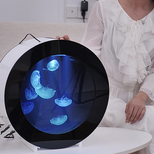 2025 petit rond acrylique méduse bureau Aquarium créatif en plastique aquarium pour usage domestique idée cadeau - Product Image 2