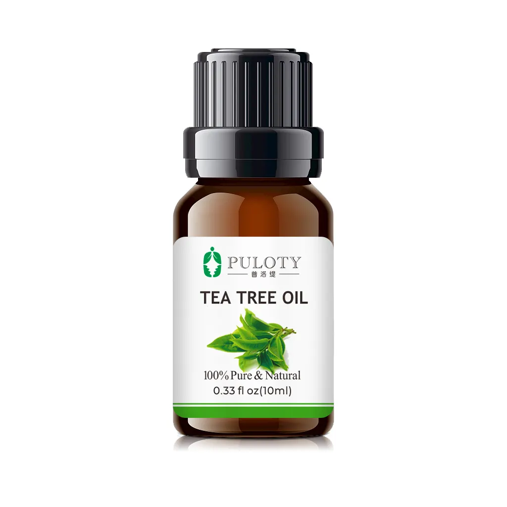 % 100% saf doğal gıda sınıfı çay ağacı uçucu yağ aromaterapi için Premium sertifikalı