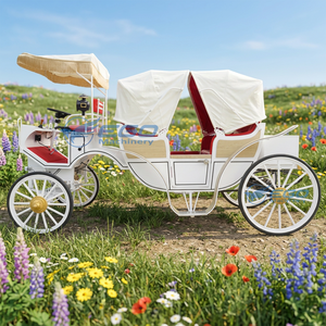 Magnifique calèche de princesse victorienne, calèche de balade électrique sans chevaux, calèche de princesse pour la visite des monuments, calèche à vendre - Product Image 1