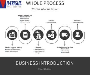 Agente de Envío Rápido DDP para Carga Marítima y Aérea FCL, Productos de Origen Chino en Alemania con 14-20 Días de Tránsito y Seguro - Product Image 6