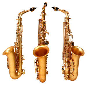 <span class=keywords><strong>SLADE</strong></span> Étudiant Saxophone <span class=keywords><strong>Alto</strong></span> E Flat Saxophone Débutant Ensemble complet avec étui Embouchure Sangle Reed Diverses couleurs disponibles - Product Image 5