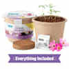 Back to the Roots Organic Cosmos Flower Grow Kit, Ukuran Kecil