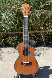 Ukelele <span class=keywords><strong>de</strong></span> Concierto Aiersi <span class=keywords><strong>de</strong></span> 24 Pulgadas con Tapa <span class=keywords><strong>de</strong></span> Caoba Sólida, Forma Cutaway, Cuerdas Bajas en Sol, Buena Calidad, Fábrica China - Product Image 2