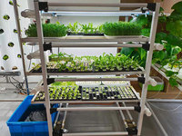 Kit de culture hydroponique verticale écologique sans plastique pour micro-légumes, avec pompe, plateau de semis en PVC de qualité alimentaire et support de plantation