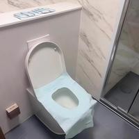 Un paquet de 10 rouleaux de papier toilette jetables emballés individuellement, écologiques, protection contre les bactéries, pour les voyages, les déplacements professionnels, les séjours à l'hôtel