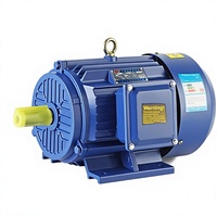 Moteur en fonte NEMA Premium TEFC 0,06-2,2KW 3 phases 60Hz IP55 IE3 100% cuivre certifié UL/CSA Moteur à induction haute efficacité