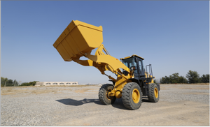 جديد آلات البناء معدات ثقيلة 0.8 طن معيار رافعة عجل - Product Image 4