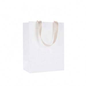 Heavy Duty Small White Paper Gift Bags with Sturdy Ribbon Handles - Product Image 1