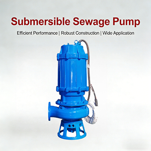 ปั๊มน้ำเสียแบบจุ่มใต้น้ำ SS304/316 ป้องกันการกัดกร่อน ไม่อุดตัน - Product Image 1