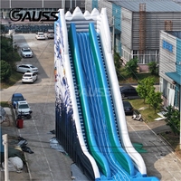 Toboggan aquatique gonflable commercial à double voie avec grande piscine pour le plaisir estival en extérieur, jardin, parc et fêtes aquatiques