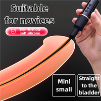 Heißer Verkauf Hersteller Sex Massager Pferd Auge Stab Männlicher Harnröhren Vibrator Harnröhren Sounds Dilatatoren Vibrations Penis Plug
