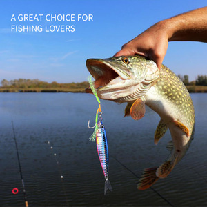 <span class=keywords><strong>Esche</strong></span> da Pesca di Alta Qualità 20g 30g 40g 60g 80g, <span class=keywords><strong>Esche</strong></span> Luminose per Jigging a Lunga Gittata, <span class=keywords><strong>Esche</strong></span> Metalliche con Paillettes per Pesca in <span class=keywords><strong>Mare</strong></span> - Product Image 6