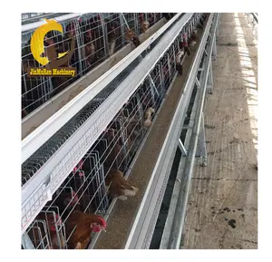 Jinmuren automatic A type layer chicken cage equipment for feeding 10 000 chickens in Nigeria project