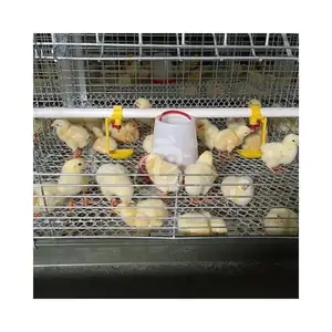 Poultry Farming Automatic Chicken Wire Cage For One Day Old Chicks