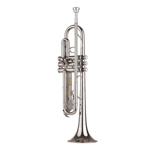 trumpet instrument student beginner kids adults brass Bb B flat trumpets set