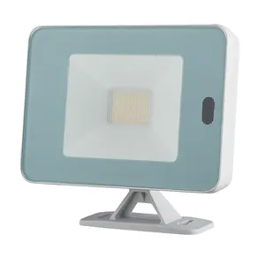 IP65 lampu banjir luar ruangan LED kualitas tinggi 30W/50W dengan bodi aluminium 100lm/w 100-265V/200-240V