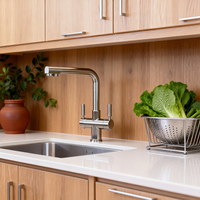 2025 Accueil Produit 5 en 1 Robinet de cuisine en laiton L cou Robinet d'eau de cuisine Double poignée Robinet à 5 voies avec eau pétillante