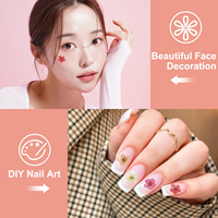 Kit de fleurs pressées multicolores à 5 pétales, fleurs séchées pour résine époxy, maquillage, nail art, bougies parfumées, décoration DIY