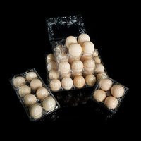Professional Food Grade CPET Clear Plastic Egg Tray Blister Stackable Anti-Shock Custom Factory Direct Supply