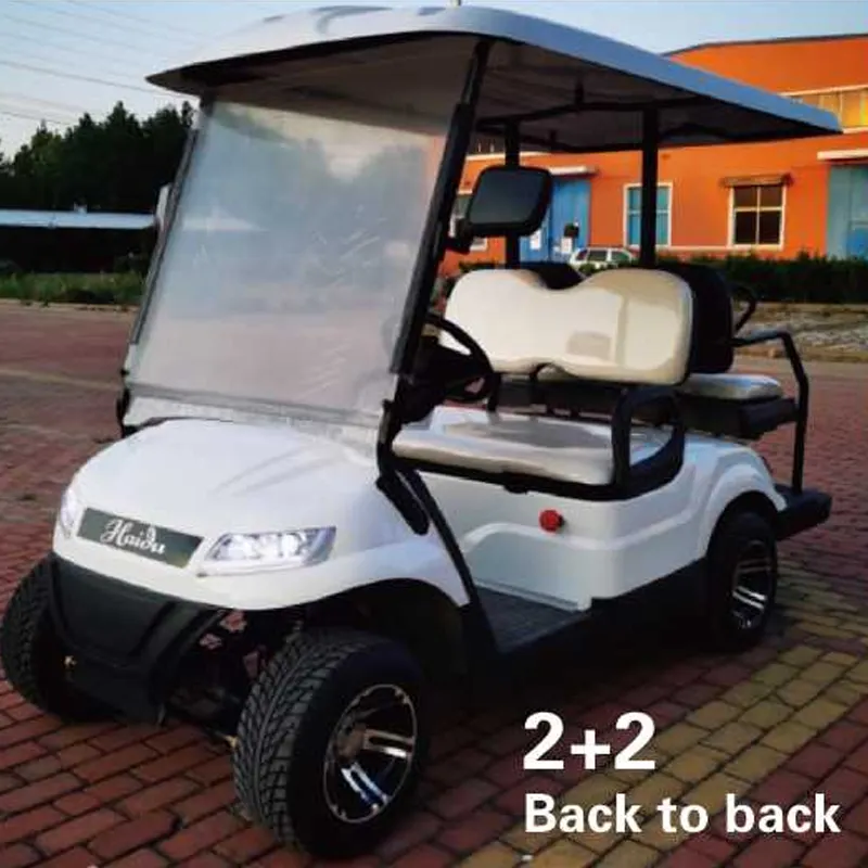 V Nieuw Product Elektrische Golfkar Milieuvriendelijke Buggy Voor Golfbaan
