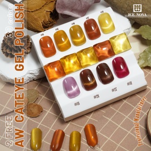 ICE NOVA Gel <span class=keywords><strong>Vernis</strong></span> À Ongles Ensemble 10ml Classique Brun Café Gris Foncé Gel À Ongles Soak Off Uv Led Gel <span class=keywords><strong>Vernis</strong></span> Manucure Kit - Product Image 6
