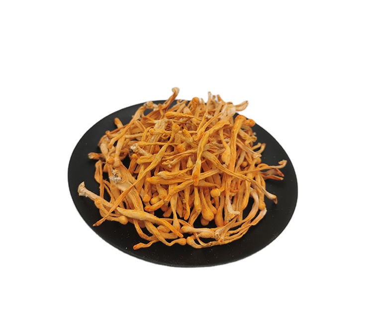 Высококачественный Кордицепс/Кордицепс Sinensiscordycep экстракт Кордицепс милитари цветочный гриб