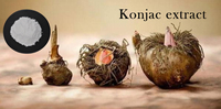 Poudre de Glucomannane 90% de Gomme de Konjac de l'Usine Healthway