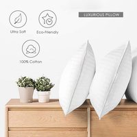 Coussin hp de qualité supérieure 1000g, oreiller en peluche, Fiber supérieure, 100%, respirant, couverture en coton, respectueux de la peau