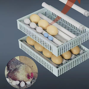 Nuova Incubatrice Automatica LZ-<span class=keywords><strong>50</strong></span> con Touch Screen per <span class=keywords><strong>50</strong></span> Uova, Tasso di Schiusa del 98%, Vassoio Rotante, Alta Produttività per Polli, Struzzi ed Emu Domestici - Product Image 4