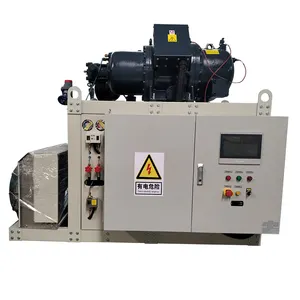 Open Type Schroefcompressor Unit Ammoniak Koelcompressor Unit