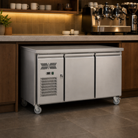 Réfrigérateur commercial en acier inoxydable sous comptoir, 2 portes, table de travail réfrigérée