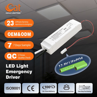 Module de batterie rechargeable de secours 3H sans danger en cas de panne, avec onduleur d'urgence LED 50W, entrée AC85-265V, sortie 12.8V LiFePO4, vente en gros