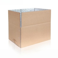Caja Térmica Aislada Lista para Enviar, Caja de Papel con Revestimiento de Papel de Aluminio para Entrega de Fruta Fresca