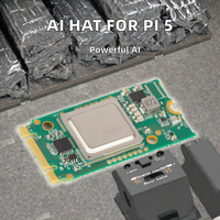 AI HAT untuk Raspberry Pi 5 Akselerator Analisis Video Komputasi Edge dengan Papan Hailo8L