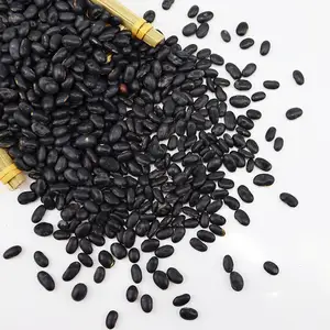 Chinese Organic Black Kidney Bean Black Bean Price